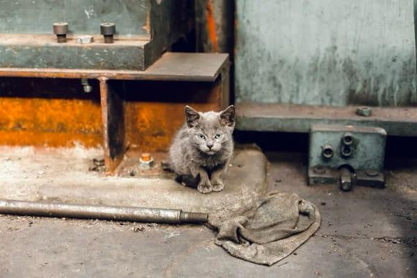 WhatsApp Image 2025-08-01 at 16.25.49 (4)