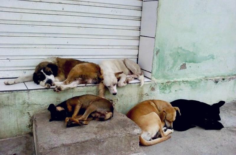 WhatsApp Image 2025-08-01 at 16.25.49 (5)