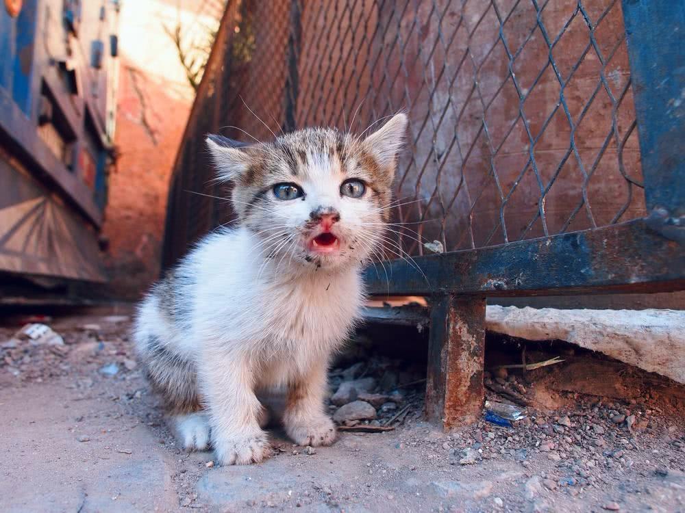 WhatsApp Image 2025-08-01 at 16.25.49 (6)