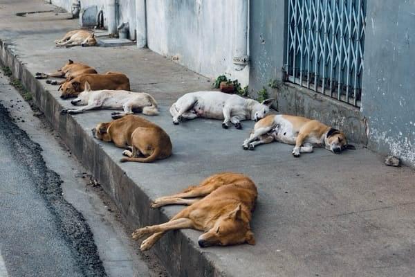 WhatsApp Image 2025-08-01 at 16.25.49